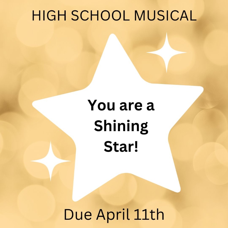 Tribute to a Shining Star - High School Musical
